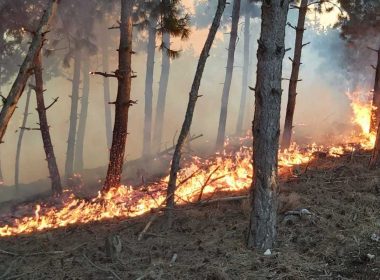 Inceniu de pădure la Buzău. Avioanele MApN au aruncat 20 de metri cubi de apă de la înălţime