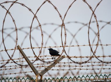 SUA au eliberat un deţinut care se afla de 20 de ani închis la închisoarea militară din Guantanamo￼