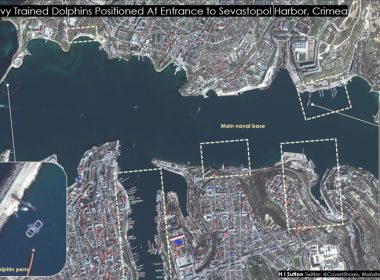 Rusia a desfăşurat delfini la baza navală din Sevastopol ca să îşi protejeze flota de atacuri subacvatice, potrivit imaginilor din satelit analizate de Institutul Naval al Statelor Unite
