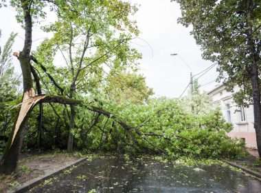 Bilanţul furtunii din Capitală: 39 de copaci căzuţi, un acoperiş parţial desprins, acumulare de apă într-o locuinţă, un stâlp de electricitate căzut şi 26 de autoturisme avariate