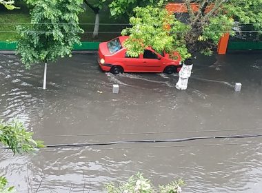 11 copaci căzuţi pe maşini şi străzi în Bucureşti, în urma vremii nefavorabile