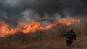 Case ameninţate de incendiu de vegetaţie în Dobroieşti