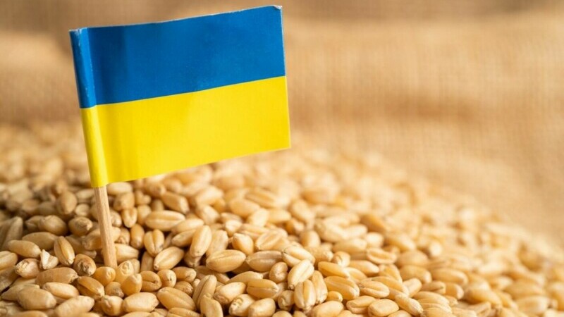 Steagul Ucrainei, din 5000 de cutii de cereale